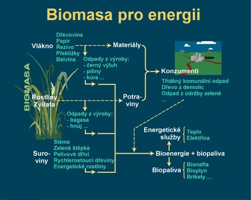 Biomasa